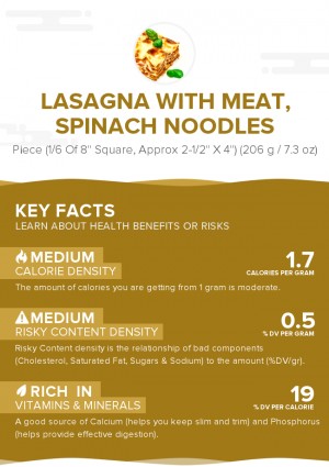 Lasagna with meat, spinach noodles