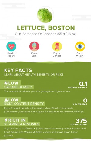 Lettuce, Boston, raw