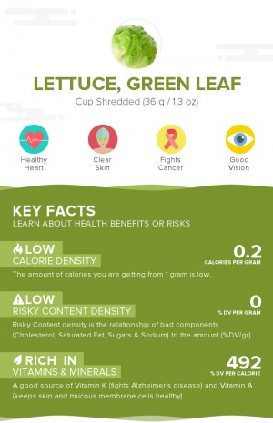 Lettuce, green leaf, raw