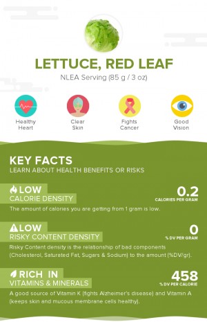 Lettuce, red leaf, raw