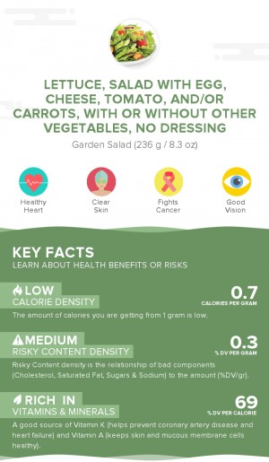 Lettuce, salad with egg, cheese, tomato, and/or carrots, with or without other vegetables, no dressing