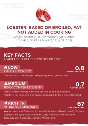 Lobster, baked or broiled, fat not added in cooking