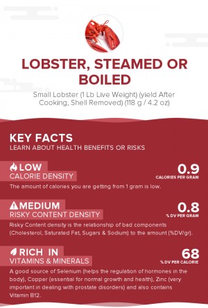 Lobster, steamed or boiled