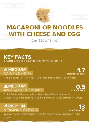 Macaroni or noodles with cheese and egg