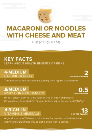 Macaroni or noodles with cheese and meat