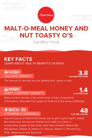 Malt-O-Meal Honey and Nut Toasty O's