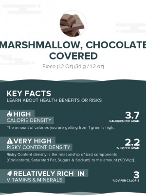 Marshmallow, chocolate covered