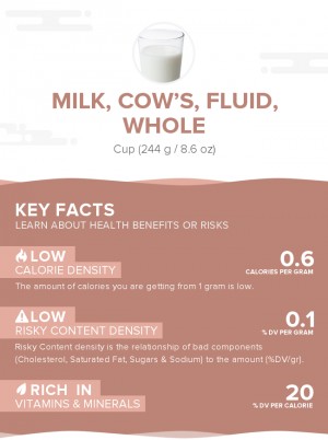 Milk, cow's, fluid, whole