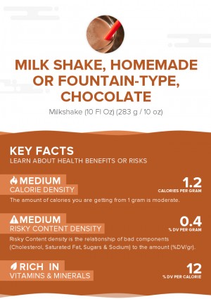 Milk shake, homemade or fountain-type, chocolate