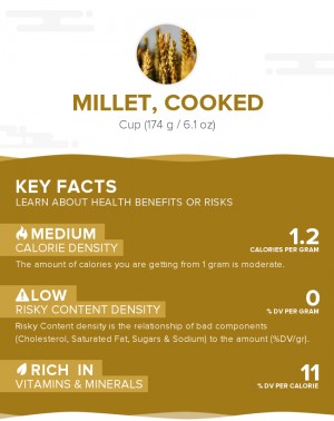 Millet, cooked