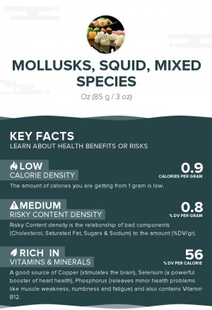Mollusks, squid, mixed species, raw