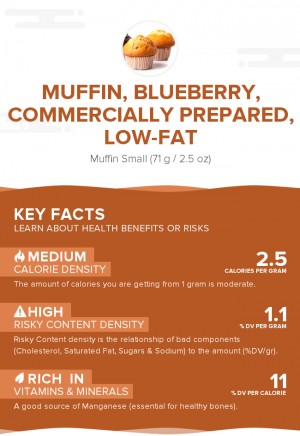 Muffin, blueberry, commercially prepared, low-fat