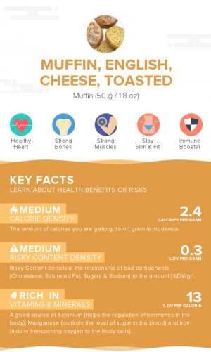 Muffin, English, cheese, toasted