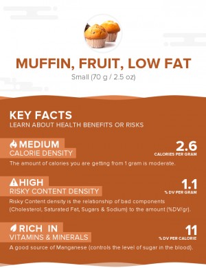 Muffin, fruit, low fat