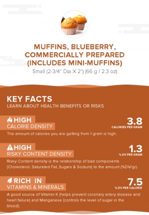 Muffins, blueberry, commercially prepared (Includes mini-muffins)
