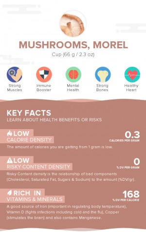 Mushrooms, morel, raw