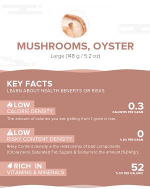 Mushrooms, oyster, raw