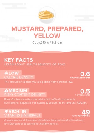 Mustard, prepared, yellow