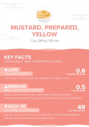 Mustard, prepared, yellow