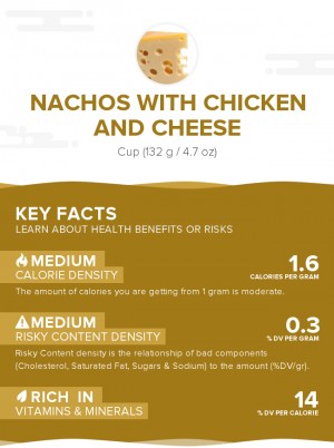Nachos with chicken and cheese