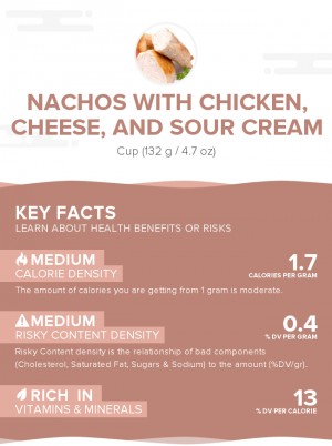 Nachos with chicken, cheese, and sour cream
