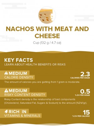 Nachos with meat and cheese