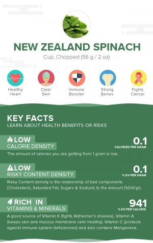 New Zealand spinach, raw