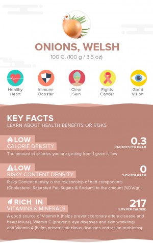 Onions, welsh, raw
