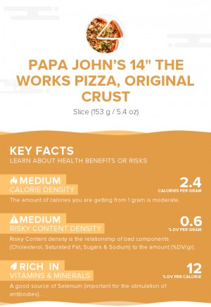 PAPA JOHN'S 14