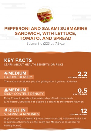 Pepperoni and salami submarine sandwich, with lettuce, tomato, and spread

