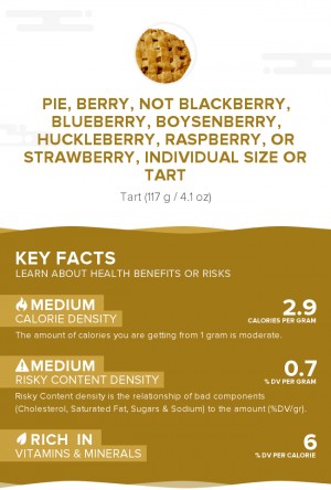 Pie, berry, not blackberry, blueberry, boysenberry, huckleberry, raspberry, or strawberry, individual size or tart