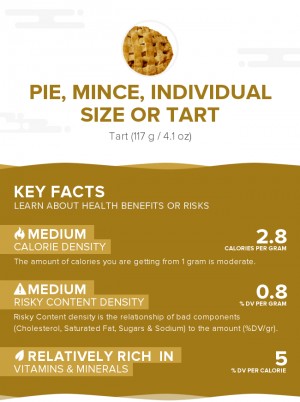 Pie, mince, individual size or tart