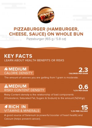 Pizzaburger (hamburger, cheese, sauce) on whole bun