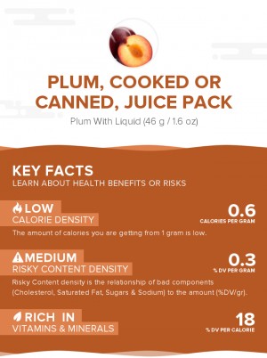 Plum, cooked or canned, juice pack