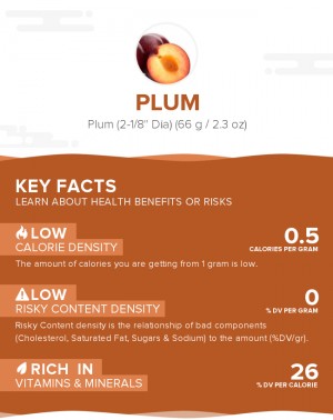 Plum, raw