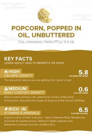 Popcorn, popped in oil, unbuttered