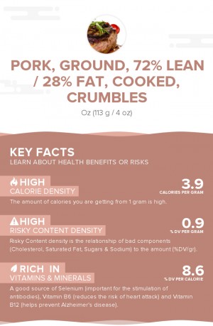 Pork, ground, 72% lean / 28% fat, cooked, crumbles