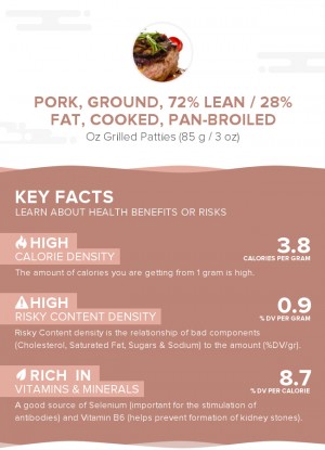 Pork, ground, 72% lean / 28% fat, cooked, pan-broiled