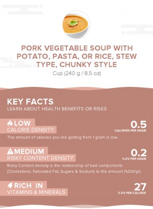 Pork vegetable soup with potato, pasta, or rice, stew type, chunky style
