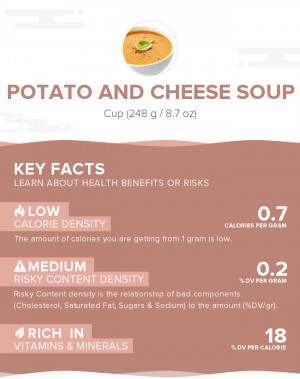 Potato and cheese soup
