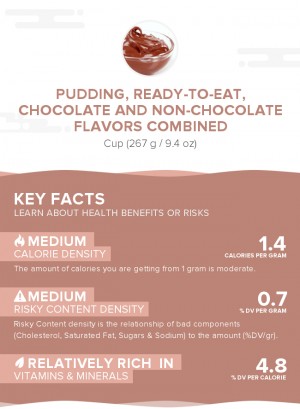 Pudding, ready-to-eat, chocolate and non-chocolate flavors combined