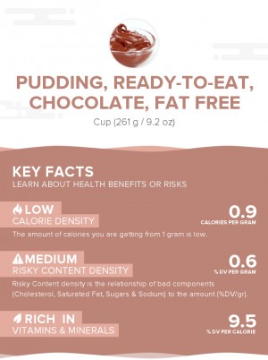 Pudding, ready-to-eat, chocolate, fat free