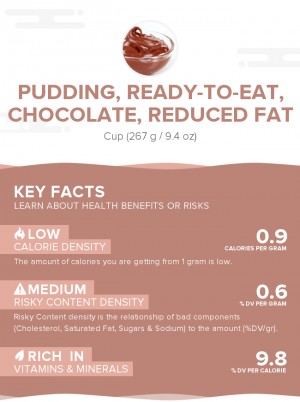 Pudding, ready-to-eat, chocolate, reduced fat