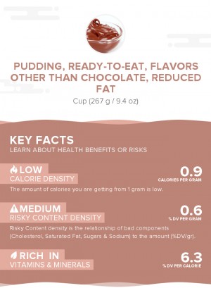 Pudding, ready-to-eat, flavors other than chocolate, reduced fat