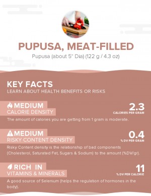 Pupusa, meat-filled