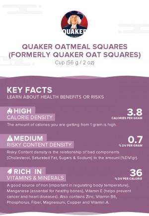 Quaker Oatmeal Squares (formerly Quaker Oat Squares)