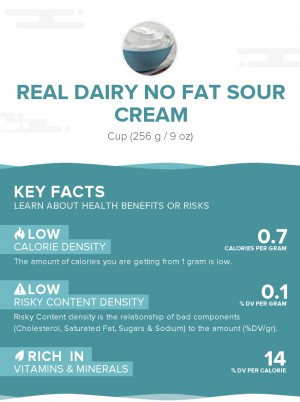 Real Dairy No Fat Sour Cream