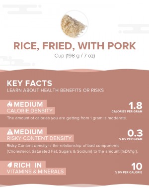 Rice, fried, with pork