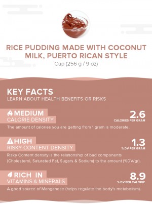 Rice pudding made with coconut milk, Puerto Rican style