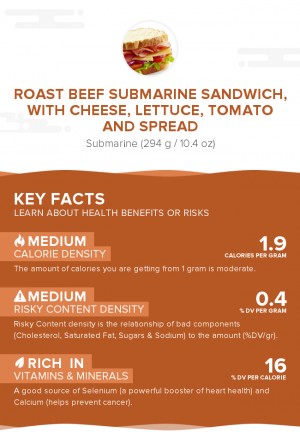 Roast beef submarine sandwich, with cheese, lettuce, tomato and spread